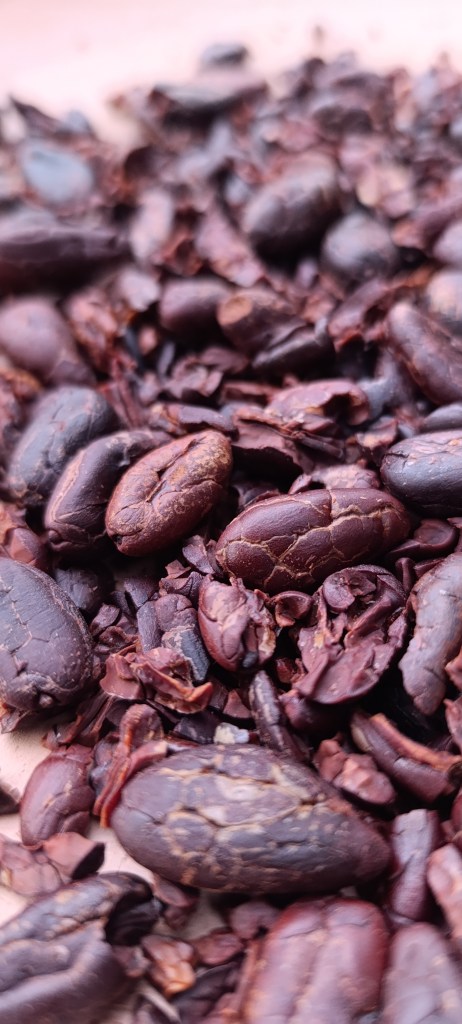 roasted cacao, bean to bar, kurs, seminar, Zusammenkunft, Feuer, Natur