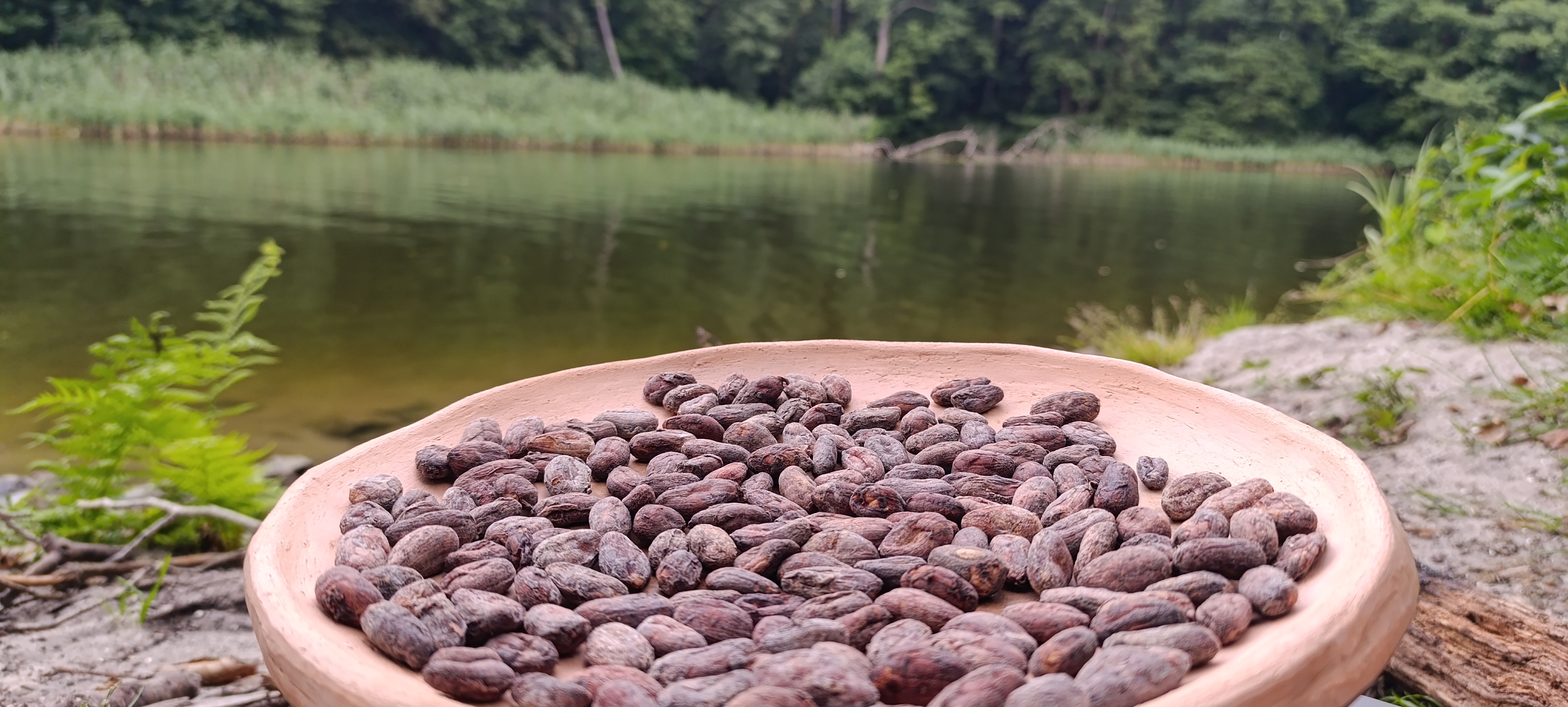 cacao roasting, nature, walk, shinrin yoku, Havel, spirit, spirituell, bewusst, Natur
